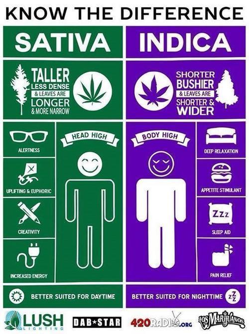 difference between sativa and indica high